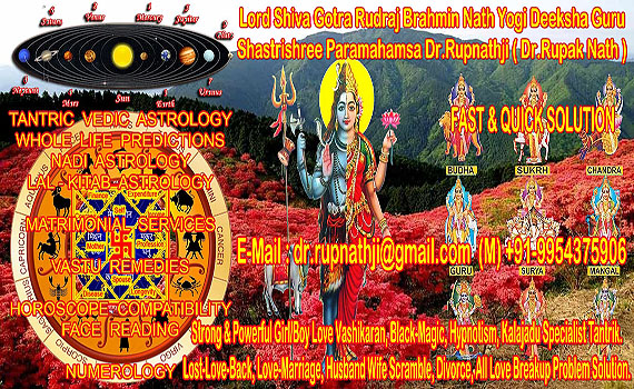 puja homam yajna remedies